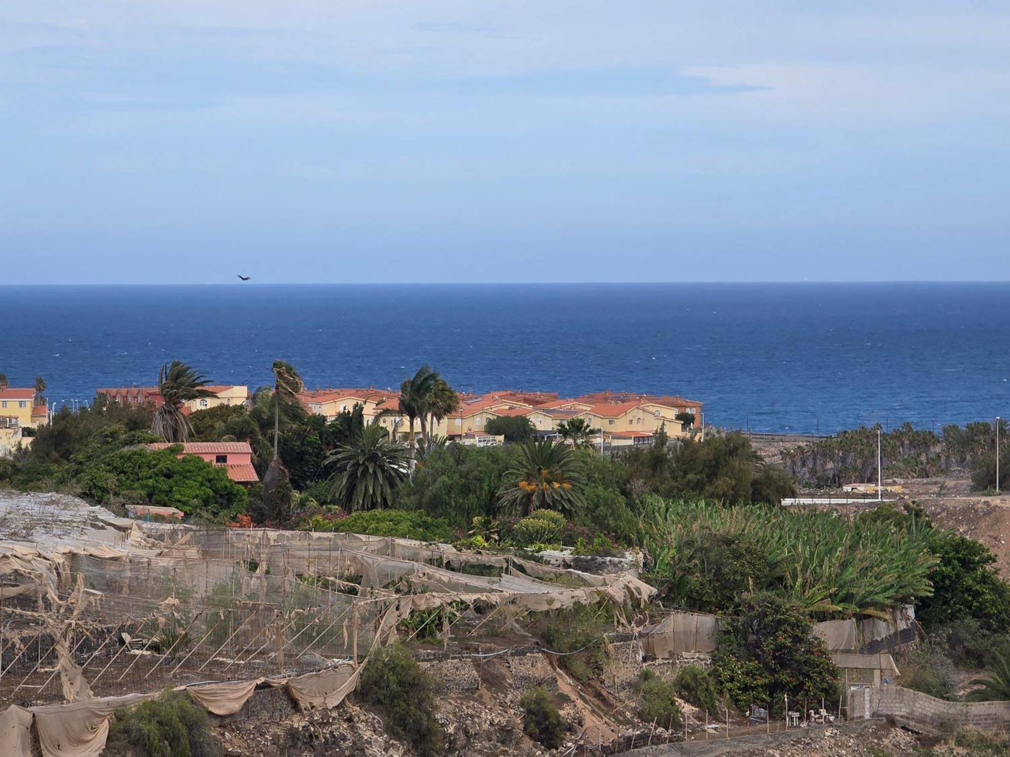 Apartamento The Sealight Penthouse La Garita Exterior foto